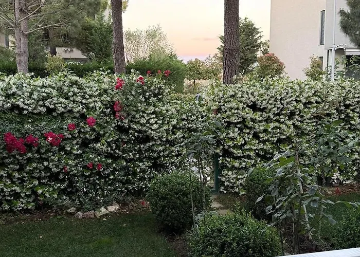 Vala Mar By Four C *