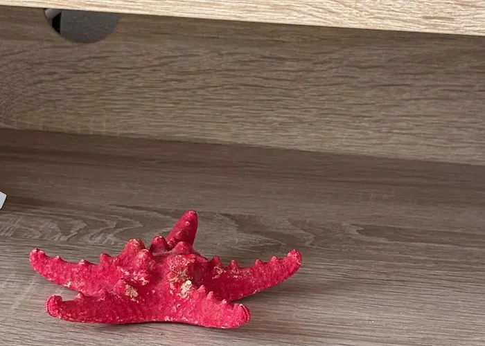 Daire Vala Mar By Four C